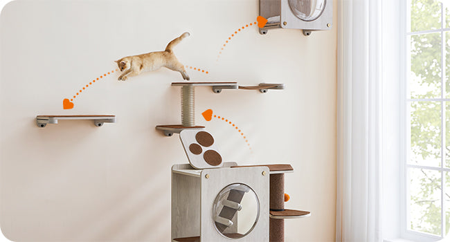 Personalize your cat s playtime with DIY cat wall furniture