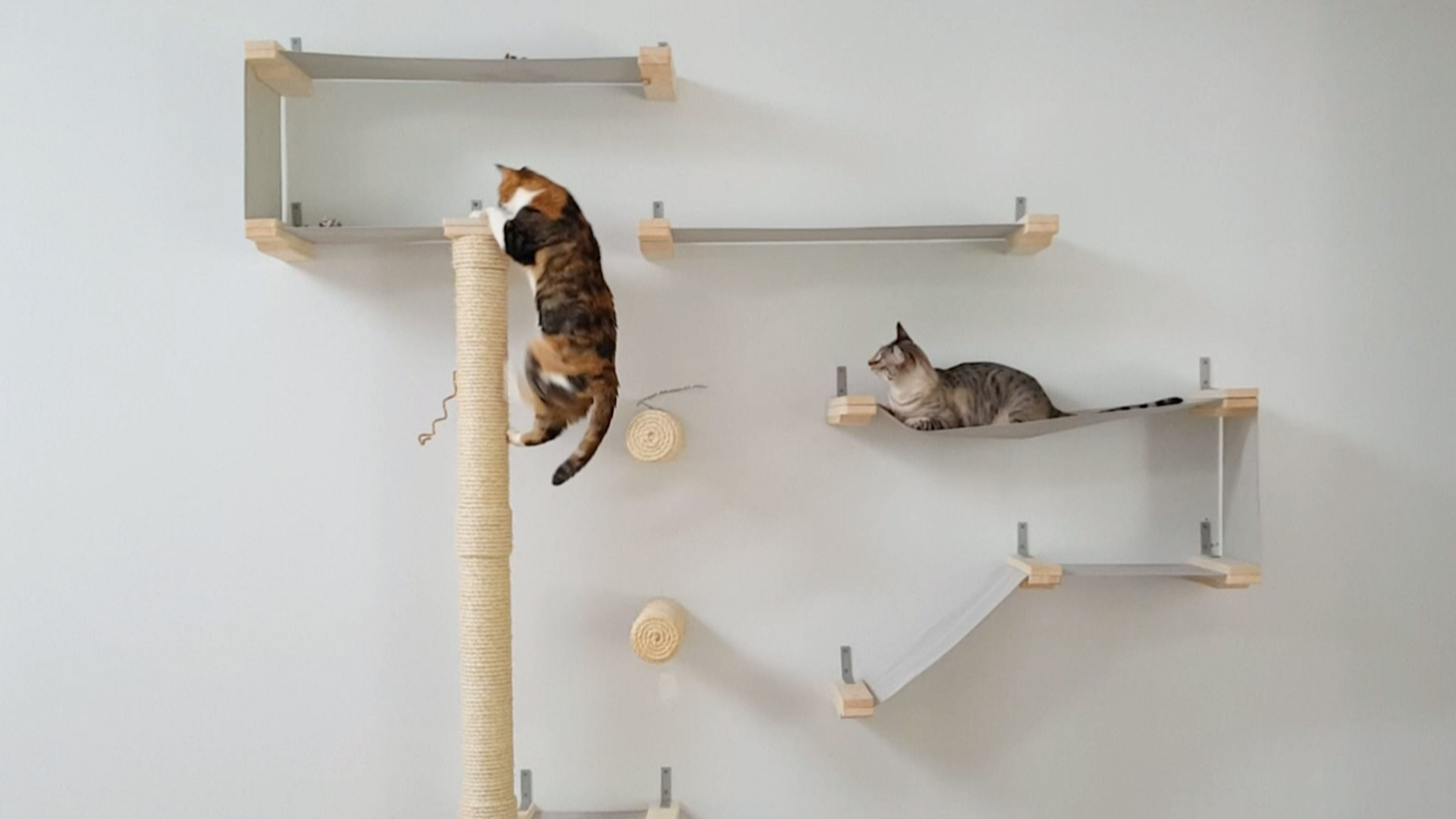 Diy cat clearance wall climber